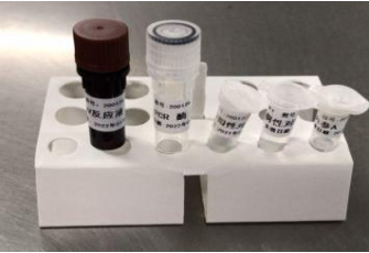 2019-Novel Coronavirus (2019-nCoV) RT-PCR Detection Kit
