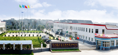 Perfil de la compañía